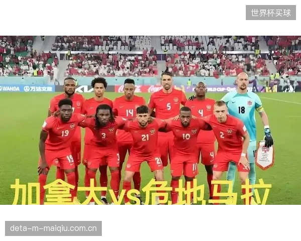 作为东道主之一，加拿大队的目标是至少成为成绩最好的小组第三之一，球员在顶级联赛的经验是其争取积分的保障。